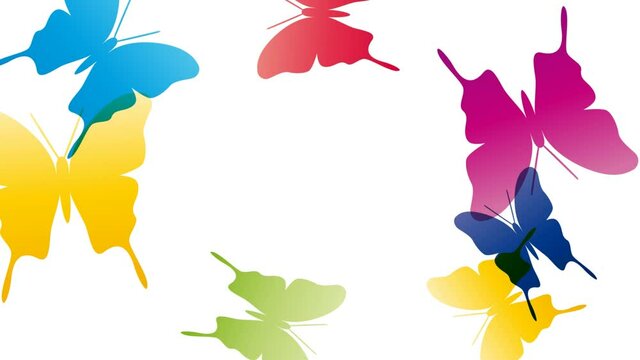 Colorful flying butterflies on a white background. Animated abstract illustration. Springtime