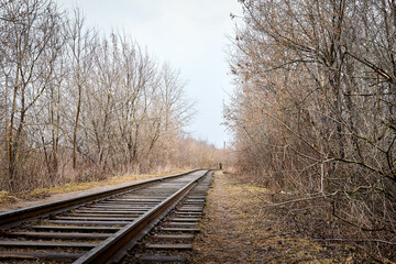 Railway among bare and bald trees on an autumn or spring day