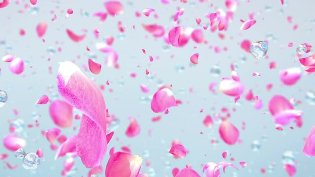 Water drops exploding with flower petals in super slow motion 4K