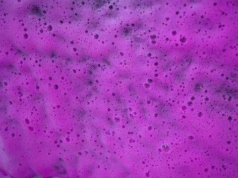 Colorful magenta bath foam with bubbles on the ground. Effect of space and galaxy. Beauty and luxury backdrop. Abstract art. Beautiful pink soap background with waves and foam. Washing suds texture