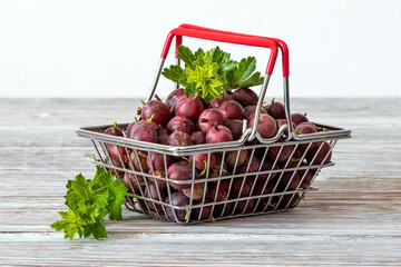 Ripe gooseberries and green leaves in a metal basket, gooseberry harvest