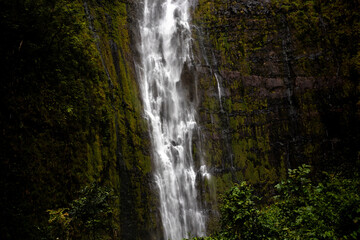 Obraz premium Hawaii