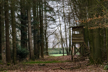 Hochstand im Wald