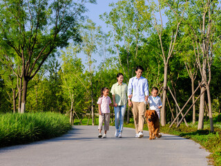 Happy family of four walking dogs in the park