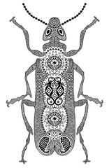 Zentangle stylized black beetle. Hand Drawn vector illustration. Books or tattoos with high details isolated on white background. Collection of insects.