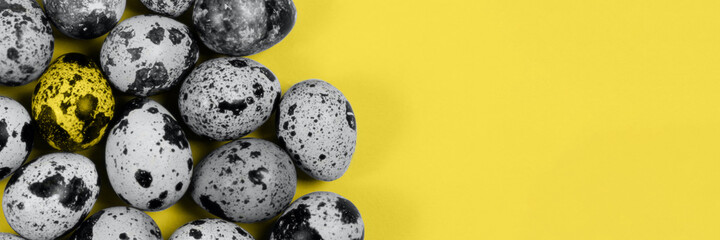 The easter background with the quail eggs in the trendy illuminating yellow and ultimate gray...