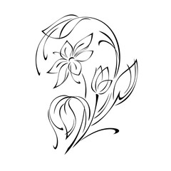 stylized flower with large petals on a stem with leaves and with one bud in black lines on a white background