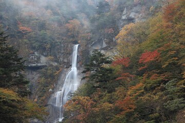 紅葉の滝