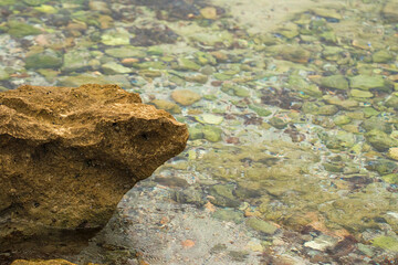Seashore in the summer