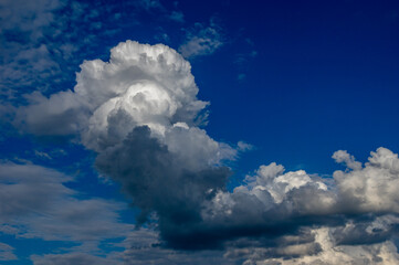Cumulus clouds in a blue sky.