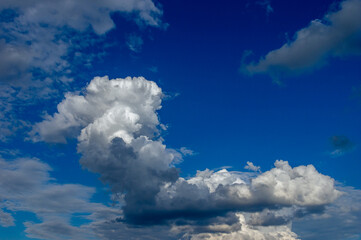 Cumulus clouds in a blue sky.