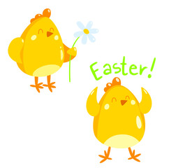 Easter chicken with a flower, cute vector birds