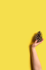 Pinecone in a hand on the illuminating yellow background. Eco concept. Vertical image with copy space. Trend color of the year 2021.