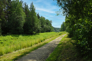 A path for walking and cycling along the forest.