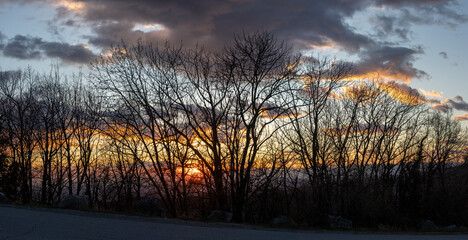 Vivid Sunset Behind Naked trees2