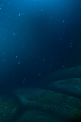 Fototapeta premium Depth of sea water, the bottom of the sea, the rays of the sun through the water, the underwater world, dark sea the background. Rocks and stones under water. Sea sand. 3d illustration 