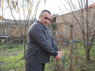 A man vine grower ties a vine to a wire. Agricultural work in the vineyard. Processing and pruning...