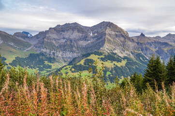 Fototapeta premium Bergpanorama oberhalb von Adelboden im Berner Oberland
