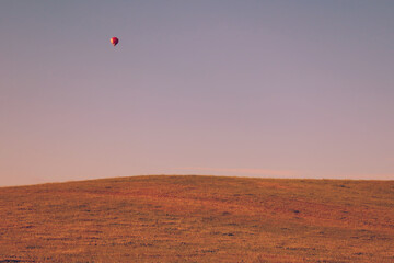 During sunset, a hot air balloon flies in the air over the meadow.