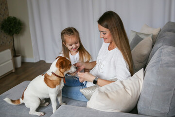 Young mom with her daughter playing with Jack Russell Terrier dog. Family and pet at home.