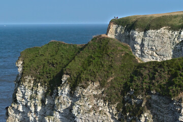 Flamborough Cliffs 