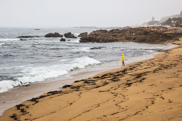 A man stands on the shore of a windy sandy shore