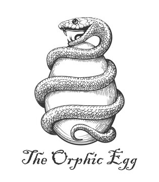 The Orphic Egg Tattoo
