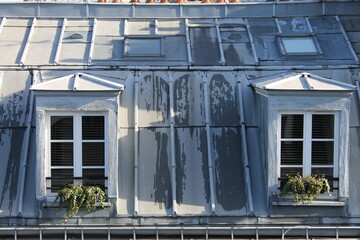 Vue de face de 2 fenêtres et 2 lucarnes en toiture 