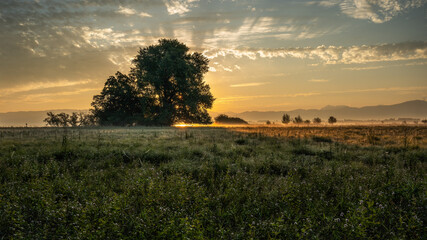 Fototapeta premium break of day - Tagsanbruch