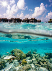 Split view to water bungalows and to the colorful underwater landscape of the Maldives with a turtle and coral