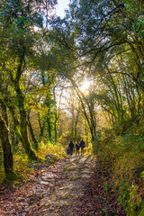 Obraz premium A group of hikers on the hiking trail on Mount Arno in the municipality of Mutriku in Gipuzkoa. Basque Country, Spain