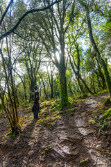 Obraz premium A young man looking at a beautiful tree in the forests of Mount Arno in the municipality of Mutriku in Gipuzkoa. Basque Country, Spain