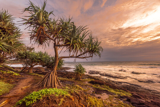 sunrise on the beach