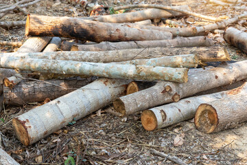 A pile of stacked firewood, prepared for heating the house, Firewood harvested for heating in winter, Chopped firewood on a stack, Firewood stacked and prepared for winter Pile of wood logs.