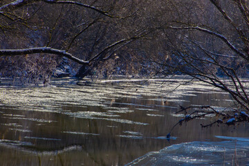Ice floe drifting down a river