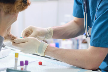 Veterinary Blood test. Animal clinic. Pet check up and vaccination. Health care.