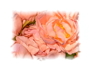 light orange fake rose flower top view closeup with white frame, colorful pattern background