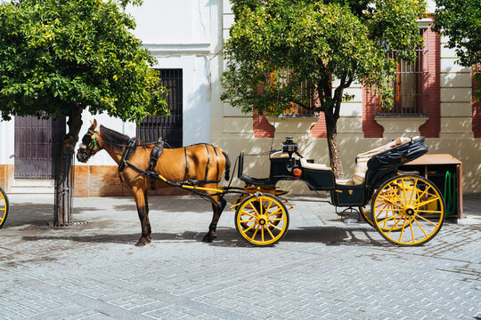 Horse-drawn carriage in Seville, Spain
