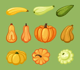 Pumpkins and zucchini set. Ripe yellow vegetable with green organic veins star shaped round squash black and brown tails healthy eco product for vegetarians with vitamin ingredients. Vector harvest.