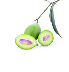 Marian Plum, (Bouea macrophylla Griffith).