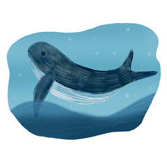 Whale in the sea illustration