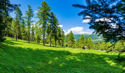 Typical views of the dolomitic valley floor. The Val Fiscalina