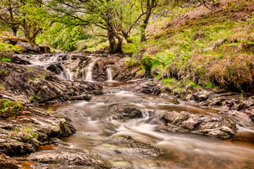 The River Eiddew above Lake Vyrnwy, Powys, Wales, UK..