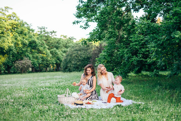 Young family with children having fun in nature. Two young mothers friends with kids toddlers are...