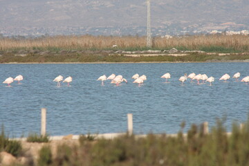 naturaleza 3
