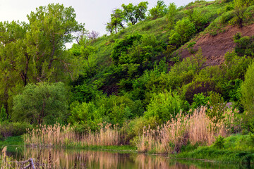 Forest lake or river flow landscape, calm nature background