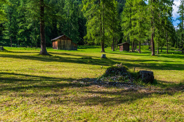 Typical views of the dolomitic valley floor. The Val Fiscalina