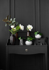green plants on stands in the luxurious interior of the classic style of the black dining room. Flowers against a black wall, standing on a black table