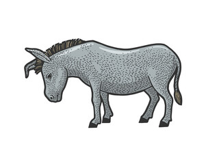 sad tired donkey sketch raster illustration