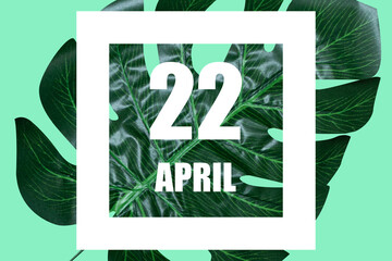april 22nd. Day 22 of month,Date text in white frame against tropical monstera leaf on green background spring month, day of the year concept
